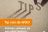 Webinar tip: verkopen via een online platform iets voor jou?